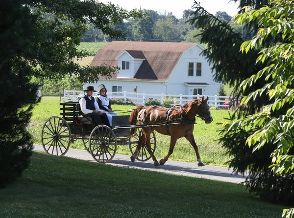 Comment vivre une immersion dans la culture amish en Pennsylvanie, USA?